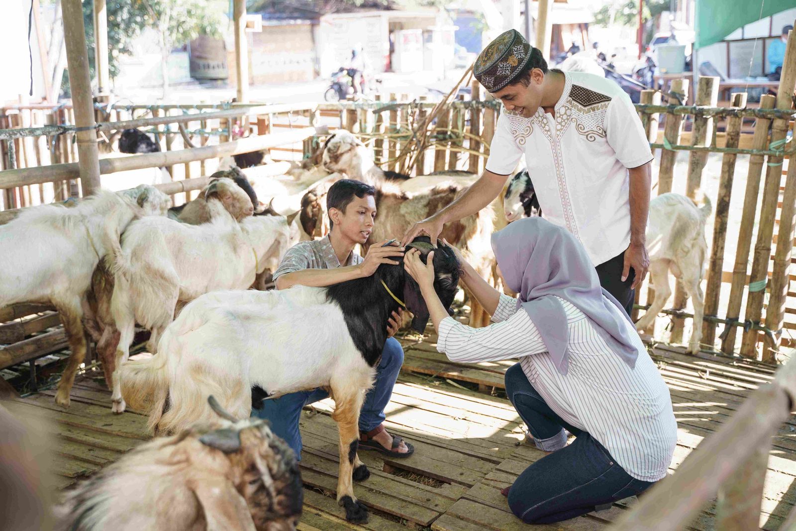 Why Choose Edhi Foundation for Qurbani Every Year